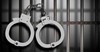 ফুলবাড়ীতে অস্ত্রসহ আটক ২