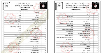 আইএসের ফাঁস হওয়া নথির বিষয়ে জার্মানির তদন্ত