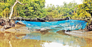 শ্যালা নদীতে জাহাজ ডুবি : চার দিনেও শুরু হয়নি উদ্ধার কাজ