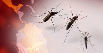 জিকা ভাইরাস নিয়ে যুক্তরাষ্ট্রেও সতর্কতা