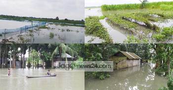 শার্শায় টানা বর্ষণে ৪২ গ্রামের মানুষ পানিবন্দী