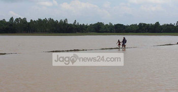 পাহাড়ি ঢলে প্লাবিত ঝিনাইগাতীর বিস্তীর্ণ এলাকা 