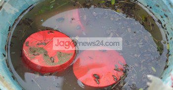 ঝিনাইদহে বোমাসদৃশ বস্তু উদ্ধার