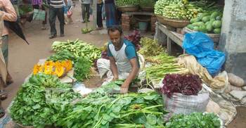 ঝিনাইদহে সবজির দাম বাড়ায় দিশেহারা নিম্ন আয়ের মানুষ