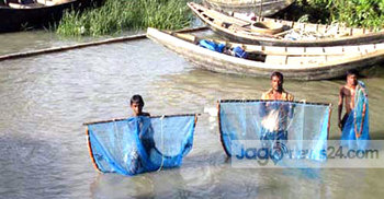 দক্ষিণাঞ্চলের চরে চলছে পোনা নিধনের মহোৎসব