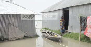 তিস্তায় পানি বৃদ্ধি : চর এলাকায় বন্যা