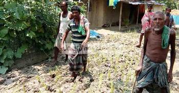 রাস্তা পাকাকরণের দাবিতে ধানের চারা রোপন