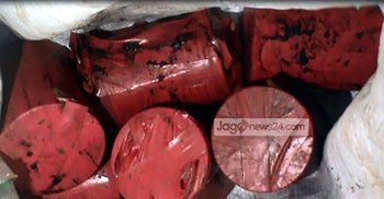 নড়াইলে ককটেল ও জিহাদী বইসহ আটক ৩ 