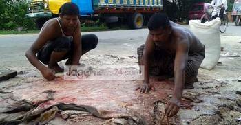 পেশা বদলানোর অপেক্ষায় রাজশাহীর চামড়া ব্যবসায়ীরা