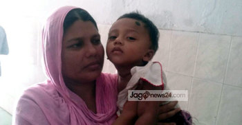 শরীয়তপুরে ভিমরুলের কামড়ে মা-ছেলে আহত