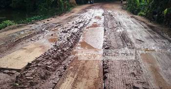 ৩ মাসেই শরীয়তপুর-চাঁদপুর সড়কের বেহাল দশা