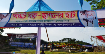 অবৈধ হাট বাণিজ্যে আ.লীগ-বিএনপি একজোট