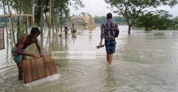 বন্যায় ক্ষতিগ্রস্ত মাছ চাষিরা : প্রভাব পড়বে বাজারে