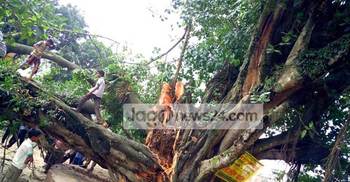 ভে‌ঙে পড়‌লো ঠাকুরগাঁওয়ের ফুসফুস