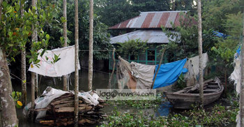 ভোলায় বাঁধ ধসে ৫ গ্রাম প্লাবিত