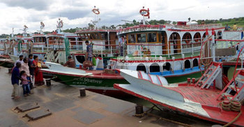 দৌলতদিয়ায় গরুবাহী ট্রলারডুবি