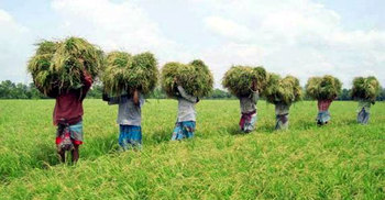 ১০ উদীয়মান বাজারের তালিকায় প্রথম বাংলাদেশ