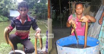 ঝিনাইদহে হাজারো পরিবারে স্বচ্ছলতা এনেছে কুঁচে 