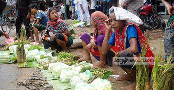 খাগড়াছড়িতে ধ্বংসের পথে বাঁশ সম্পদ : খেয়ে ফেলছে মানুষ