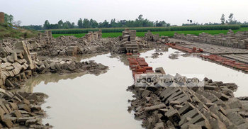 হঠাৎ বৃষ্টিতে দিনাজপুরে ৫০ কোটি টাকার ক্ষতি