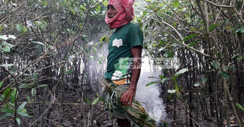 সুন্দরবন পশ্চিম বনবিভাগ নিয়ন্ত্রণ করছে দশ দস্যু বাহিনী