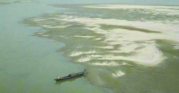 Militant training camp demolished in Bogra