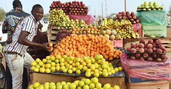 How farmers can end land disputes and produce more food