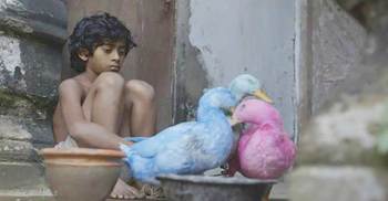 ‘Jalaler Golpo’ wins SAARC Film Festival award