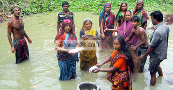খালে মাছ চাষ করে ৪৩ নারীর সাফল্য