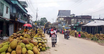 এ যেন কাঁঠালের হাট