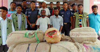 কুড়িগ্রামে আড়াই মণ গাজা জব্দ : আটক ২