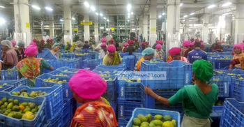 PRAN changes life through ‘Guti Aam’ 