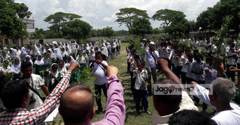 গাছের সঙ্গে বন্ধুত্ব রাখার শপথ