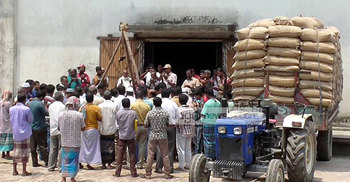 ঠাকুরগাঁওয়ে সিন্ডিকেটের মাধ্যমে গম কেনার অভিযোগ