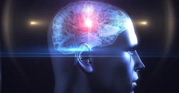 Our brain is ‘pre-adapted’ to face any situation: Study