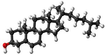 Excess ‘good cholesterol’ may shorten your life