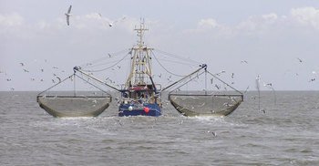 BD releases 92 Myanmar fishermen 