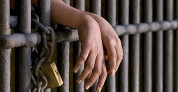 গরু চুরির অভিযোগে গ্রাম পুলিশ কারাগারে