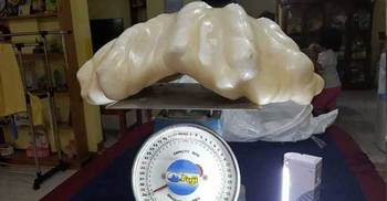 World’s largest pearl to be displayed in Philippines