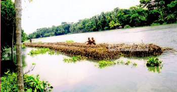 দেউলিয়া অঞ্চল এখন সম্পদের ভাণ্ডার