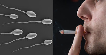 Smoking puts your sperm at risk of DNA damage