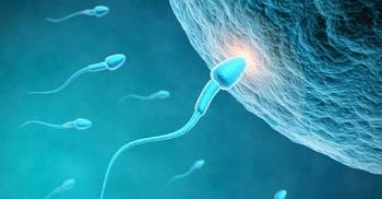Human fertility beyond 30 is declining: Experts 