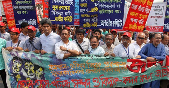 Power plant could devastate world’s largest mangrove forest 
