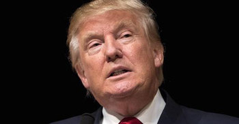 Trump insists campaign is united