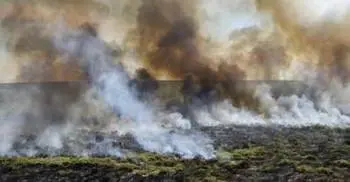 Argentine wildfires devastate pampas