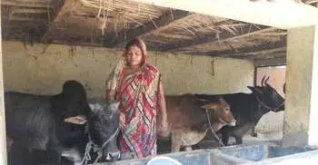  ‘Ektee Bari, Ektee Khamar’ Project benefits 1.22cr: Official