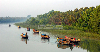 সুন্দরবনের নিষিদ্ধ এলাকায় মাছ শিকারের মহোৎসব 