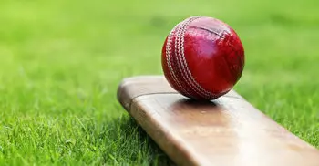 12-year-old murders friend over Rs.250 cricket match bet