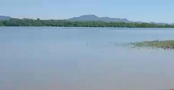 নাফ নদী থেকে নারীর মরদেহ উদ্ধার