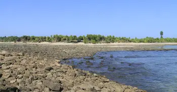 Cox’s Bazar in picture